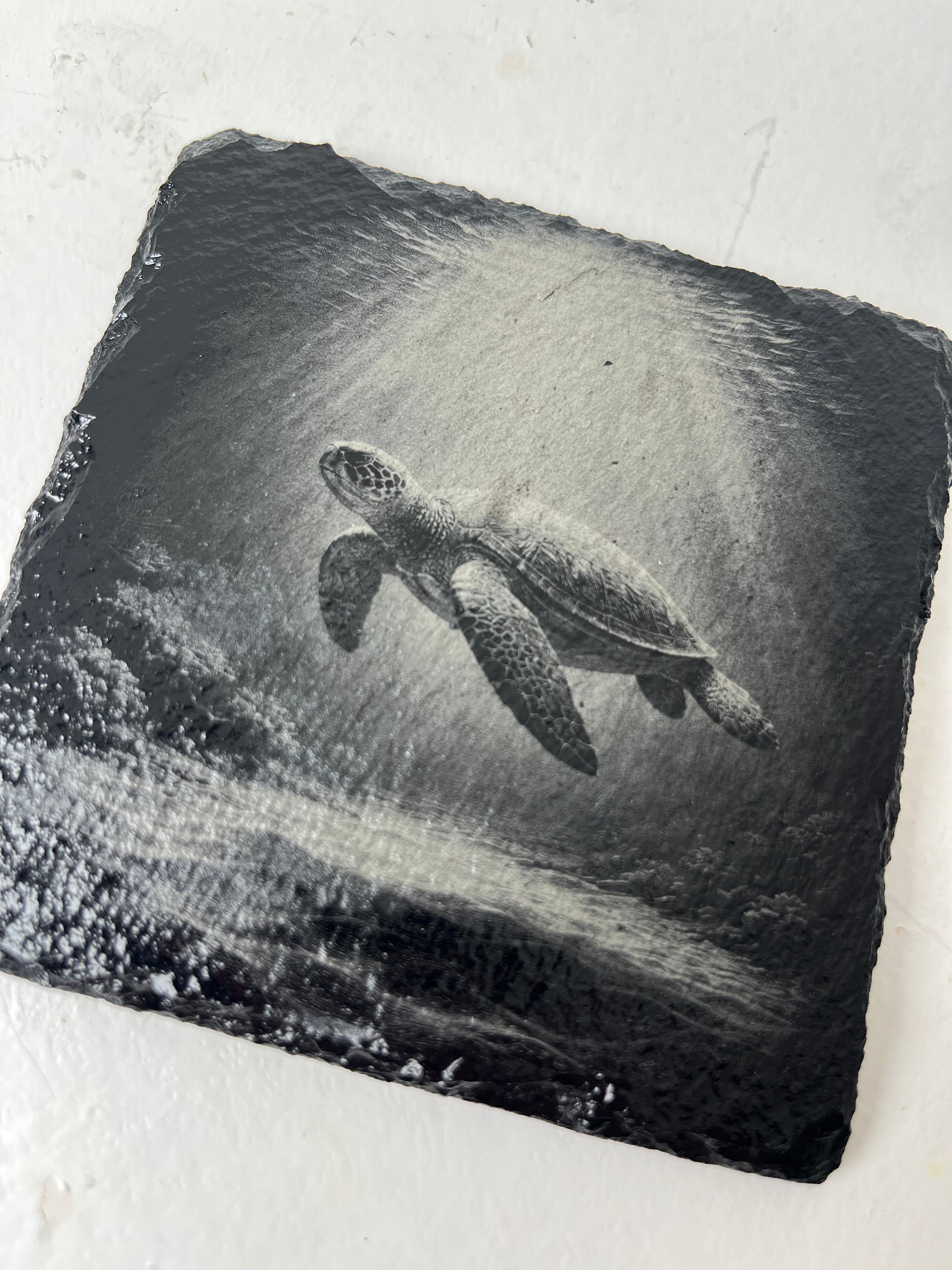 Mixed Honu Sea Turtle Coaster Set - Set of 4